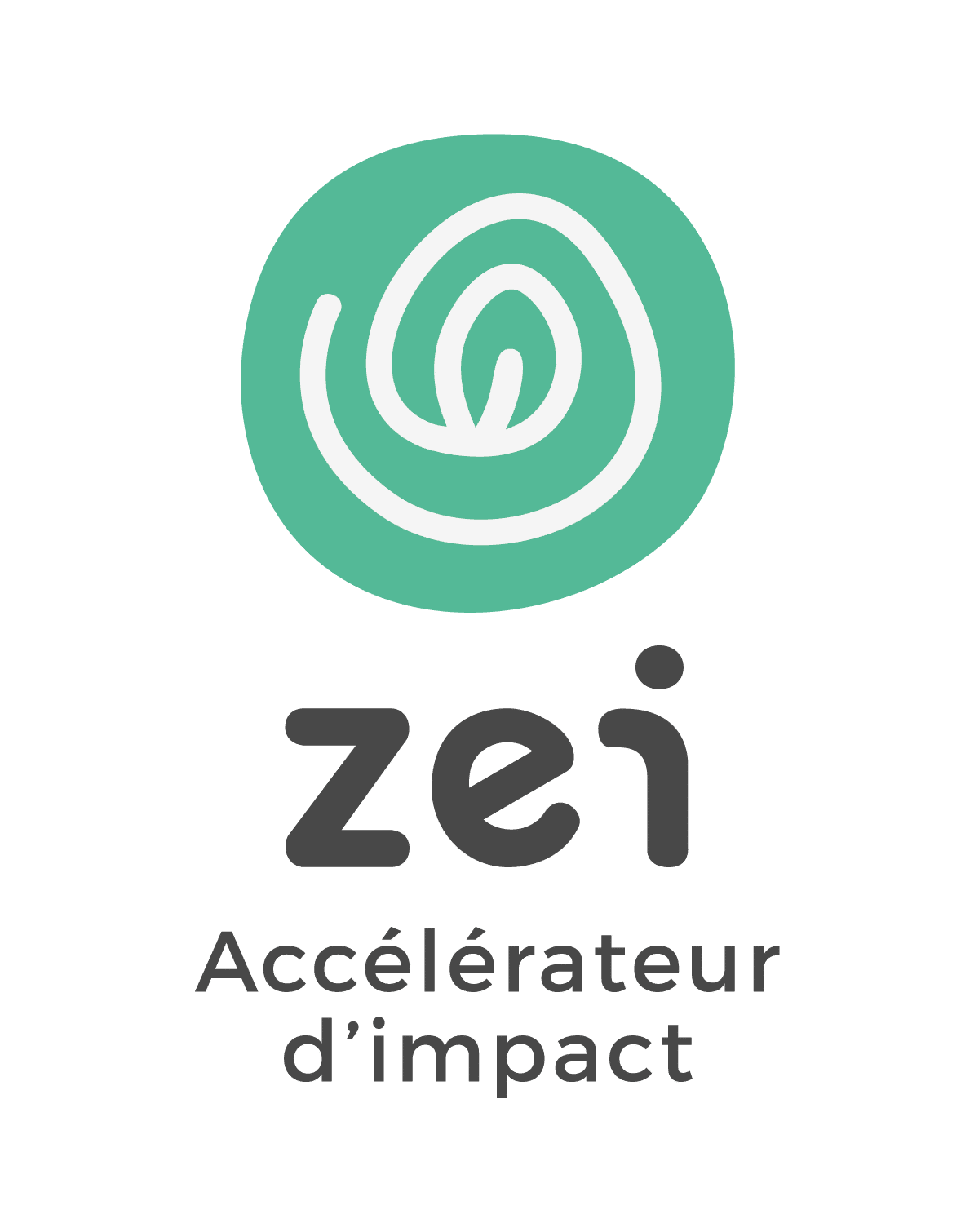 Logo ZEI 2020 04