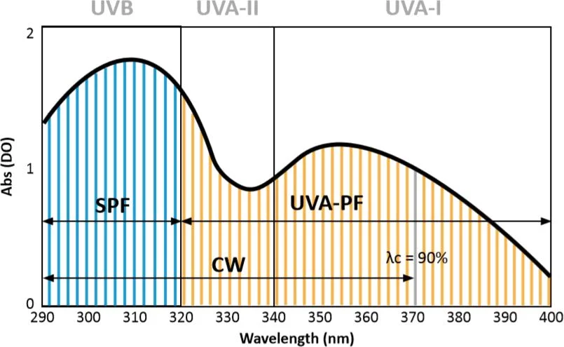Our activities 1 Courbe absorbance